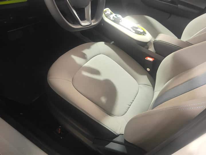 Changan BenBen E-Star 2022 2022款 清心版 多彩款 磷酸铁锂