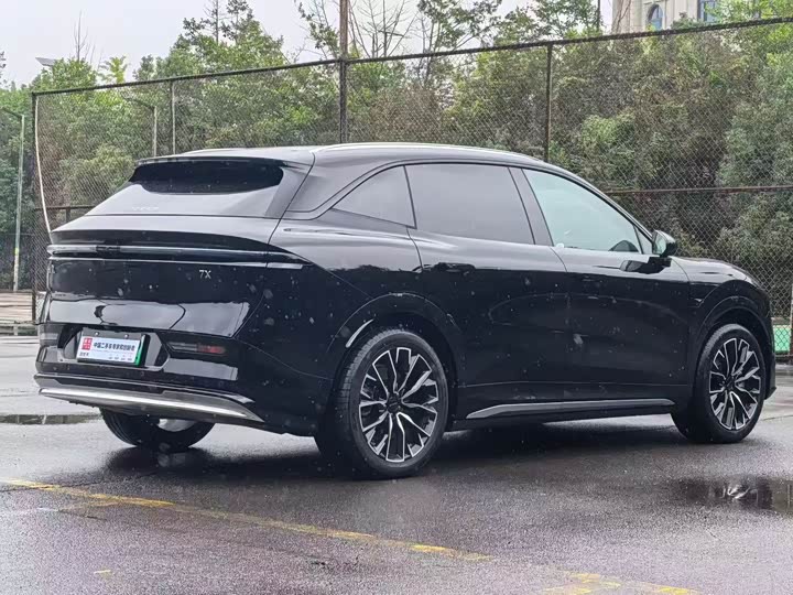 Zeekr 7X 2025 2025款 75kWh 后驱智驾版