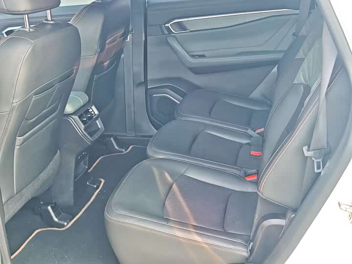 Geely Okavango L 2024 2024款 2.0T DCT尊贵型