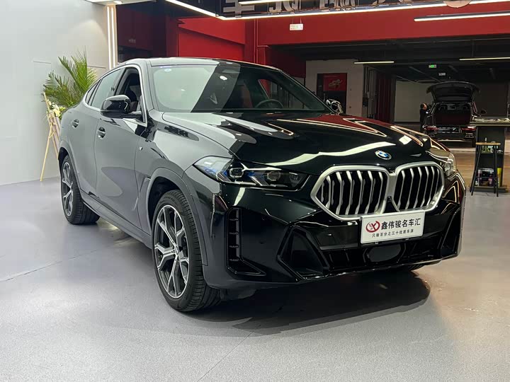 BMW X6 2023 2023款 xDrive40i M运动套装