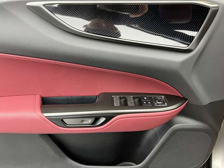 Lexus NX 2025 2025款 200 FUN