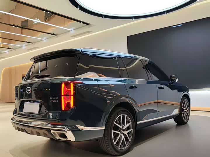 GAC Trumpchi GS8 2022 2022款 双擎系列 2.0TM 两驱尊贵版 （七座）