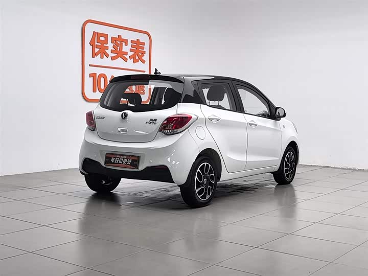 Changan BenBen E-Star 2022 2022款 国民版 多彩限量款（快充版）磷酸铁锂