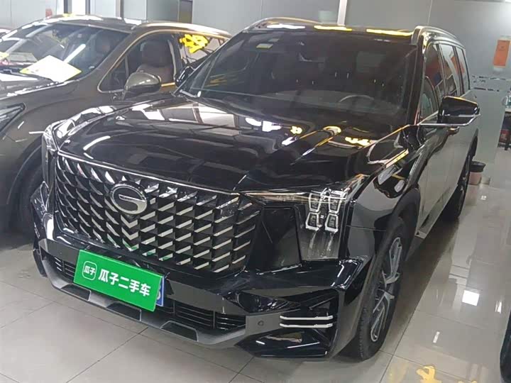 GAC Trumpchi GS8 2024 2024款 领航系列 2.0TGDI 两驱豪华智联版 7座