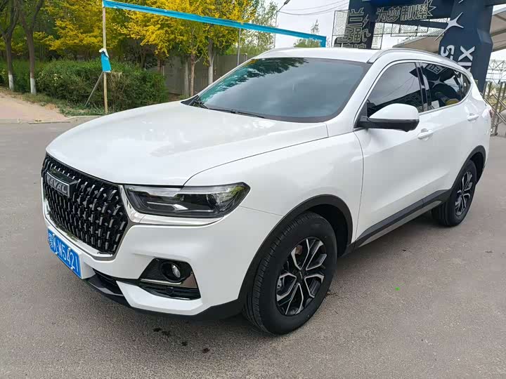 Haval H6 2025 2025款 1.5T 国潮都市版