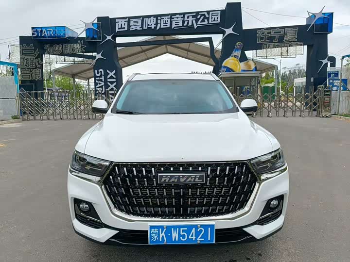 Haval H6 2025 2025款 1.5T 国潮都市版