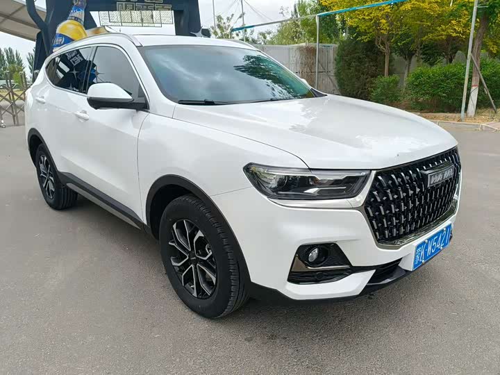 Haval H6 2025 2025款 1.5T 国潮都市版