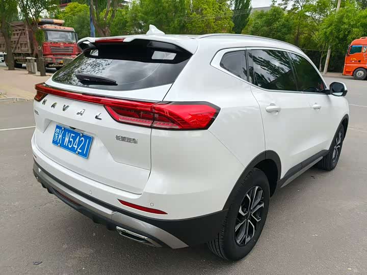 Haval H6 2025 2025款 1.5T 国潮都市版