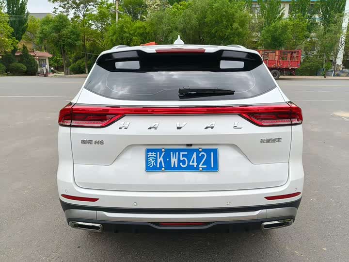 Haval H6 2025 2025款 1.5T 国潮都市版