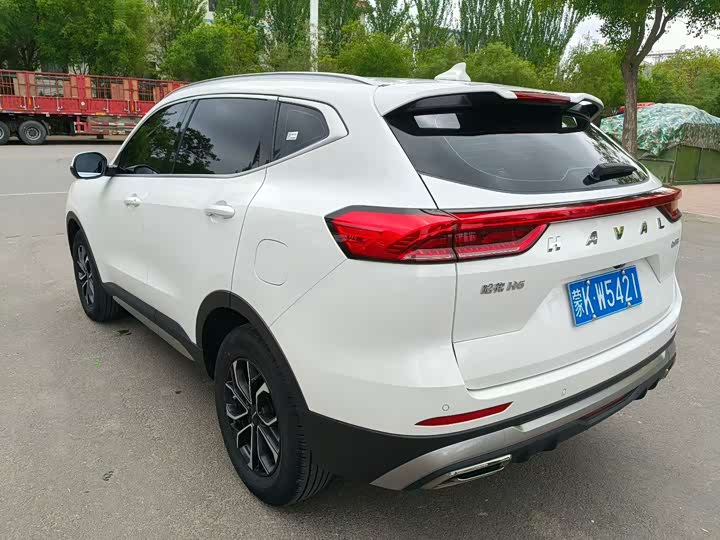 Haval H6 2025 2025款 1.5T 国潮都市版