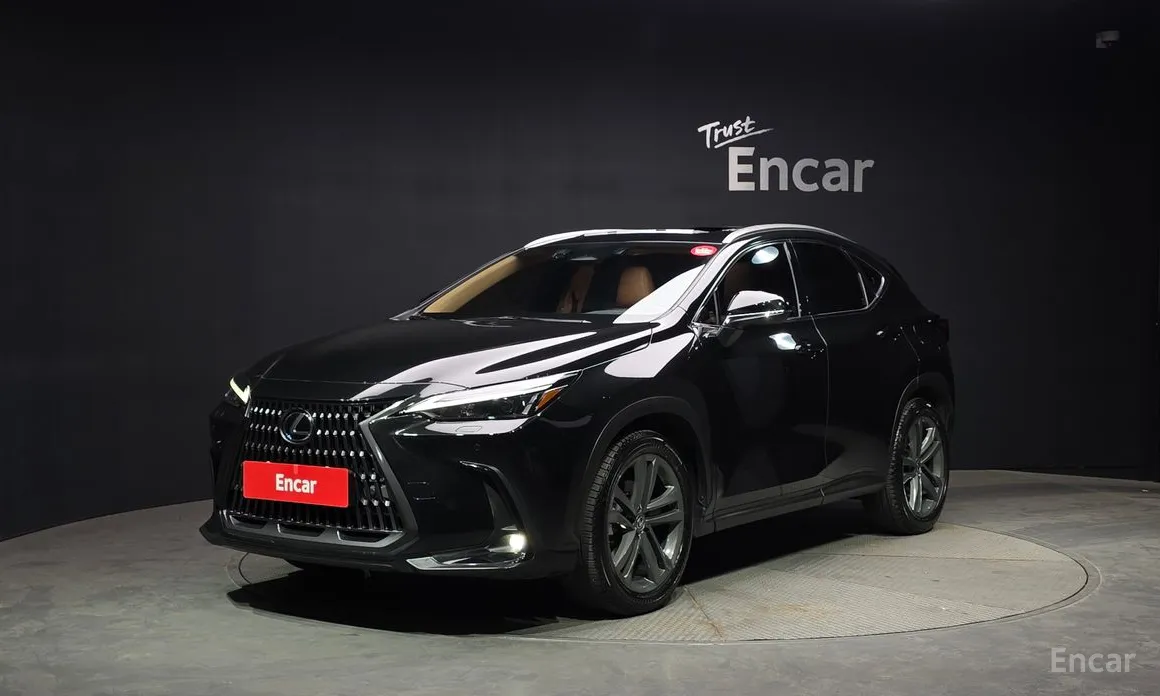 2022 Lexus NX