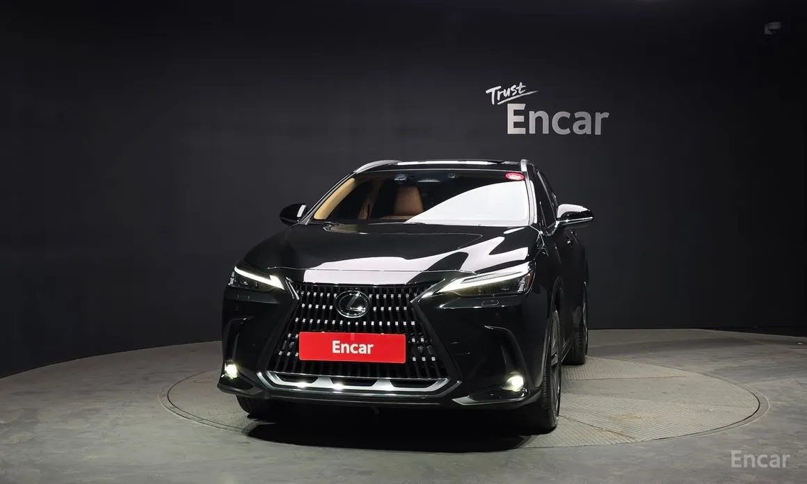 2022 Lexus NX