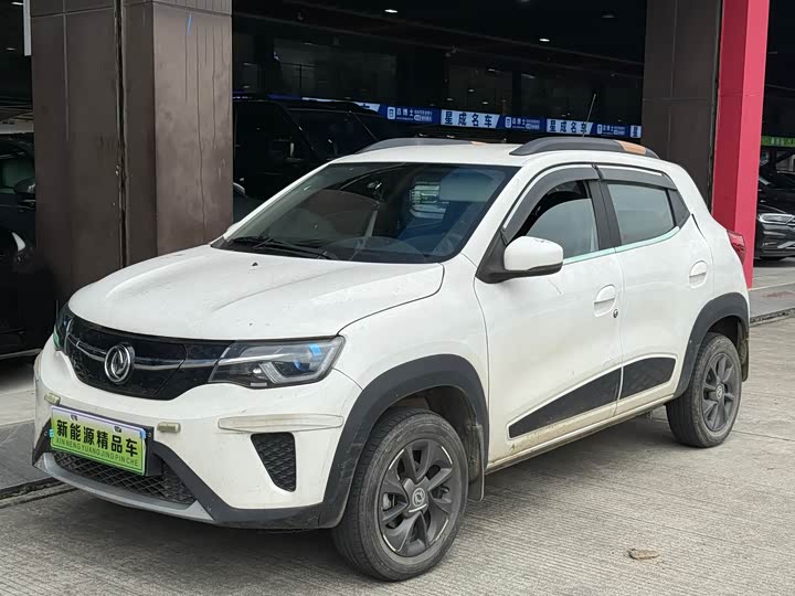 Dongfeng Yipai Nano EX1 2022 2022款 PRO 悦骋型