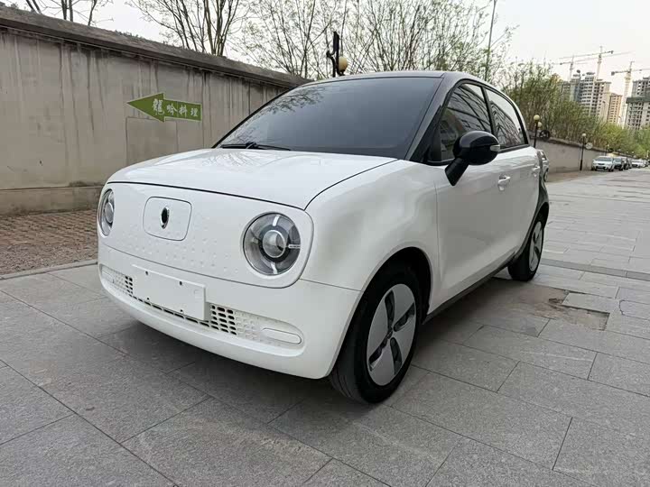 Ora Black Cat 2021 2021款 301km 基础型