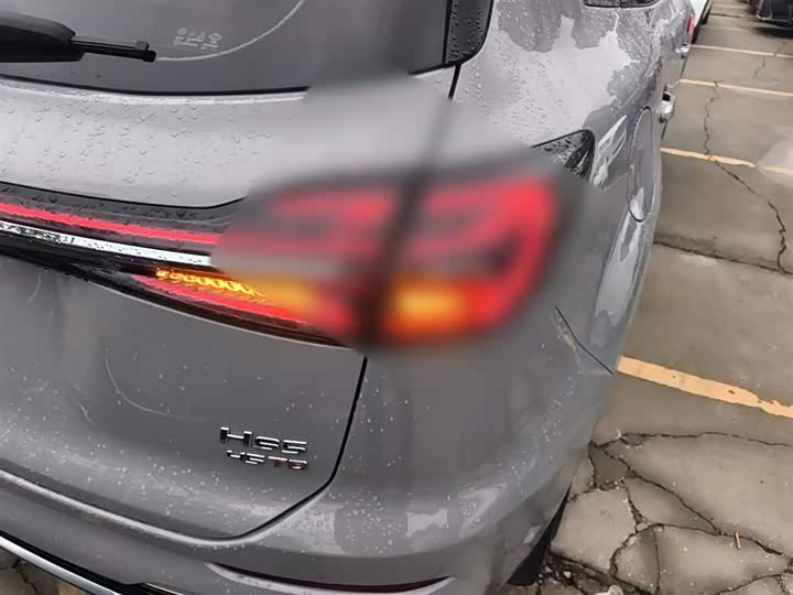 Фото 8 - Hongqi HS5