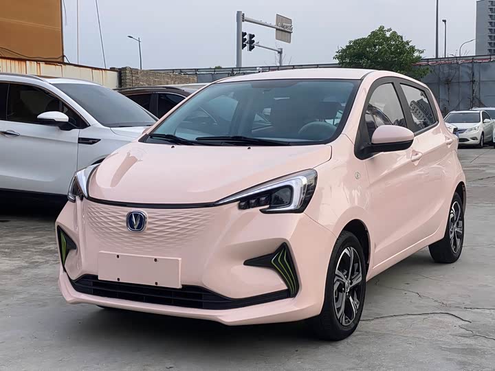 2022 Changan BenBen E-Star