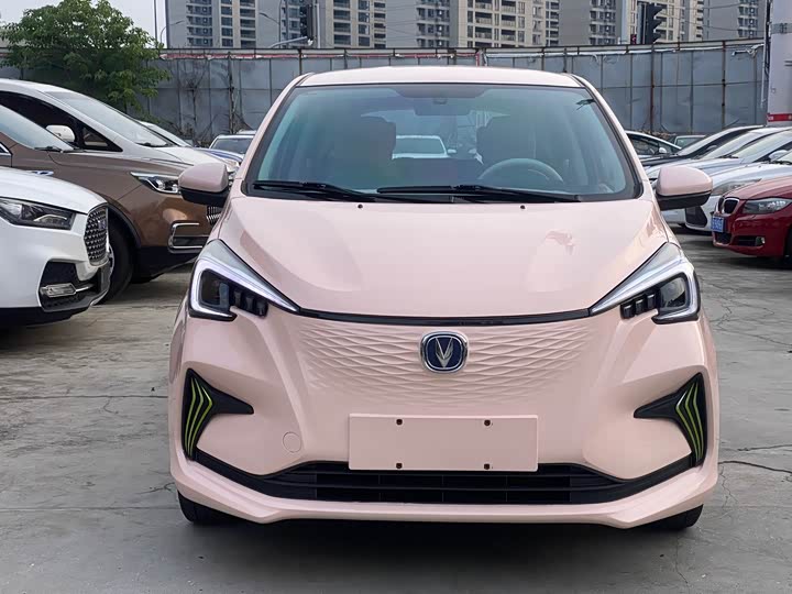 2022 Changan BenBen E-Star