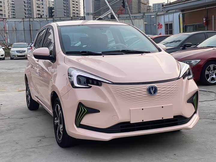 2022 Changan BenBen E-Star