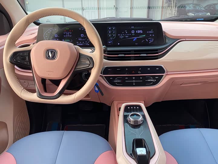 Changan BenBen E-Star 2022 2022款 赏心版 多彩款 磷酸铁锂