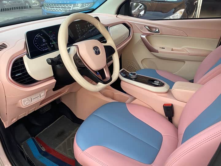 Changan BenBen E-Star 2022 2022款 赏心版 多彩款 磷酸铁锂