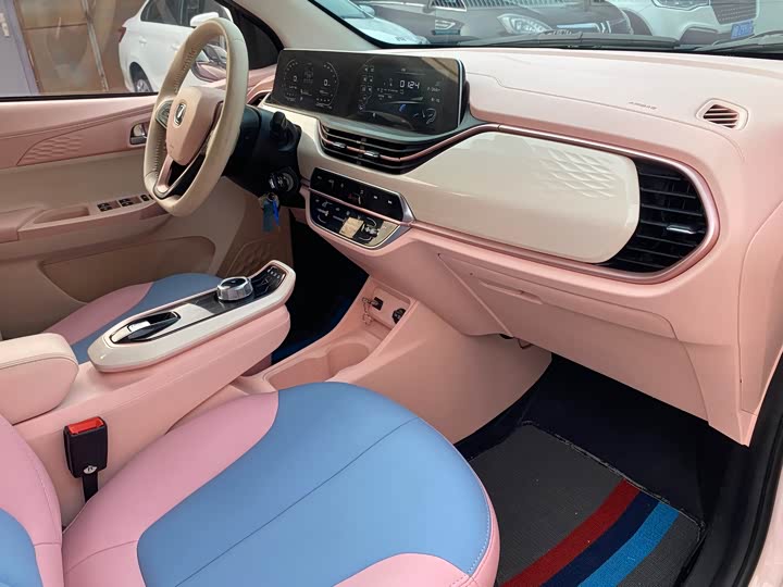 Changan BenBen E-Star 2022 2022款 赏心版 多彩款 磷酸铁锂