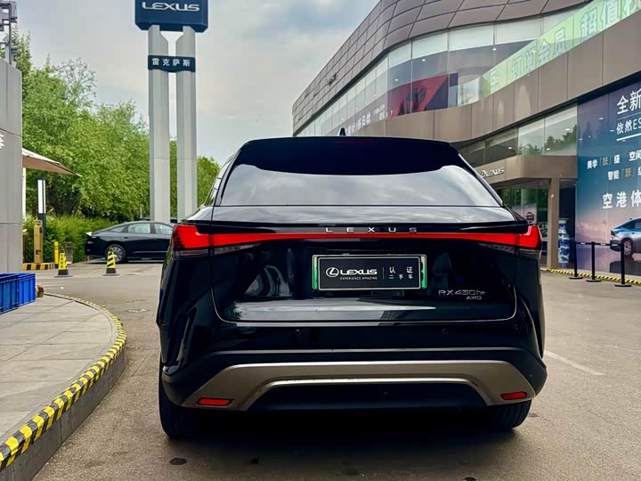 Фото 6 - Lexus RX Hybrid
