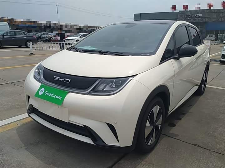 Фото 2 - BYD Dolphin