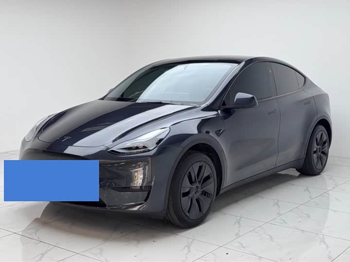 Tesla Model Y 2024 2024款 后轮驱动版