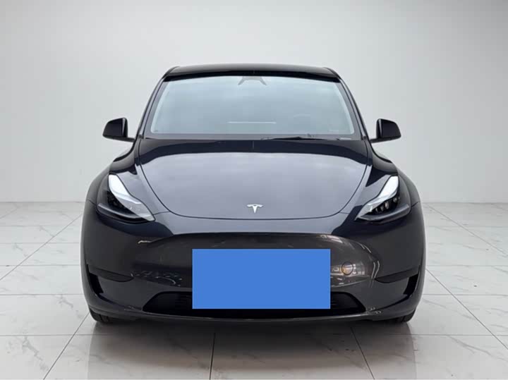 Tesla Model Y 2024 2024款 后轮驱动版