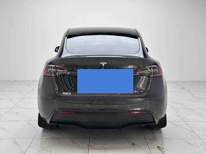 Tesla Model Y 2024 2024款 后轮驱动版