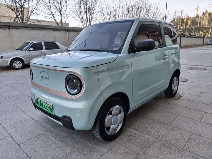 Geely Galaxy Panda Mini 2023 2023款 熊猫mini 200km 耐力熊
