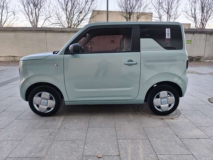 Geely Galaxy Panda Mini 2023 2023款 熊猫mini 200km 耐力熊