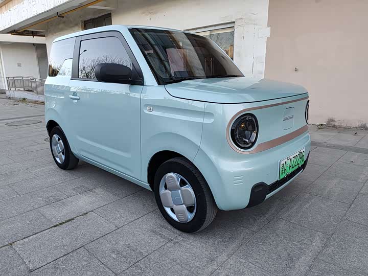 Geely Galaxy Panda Mini 2023 2023款 熊猫mini 200km 耐力熊