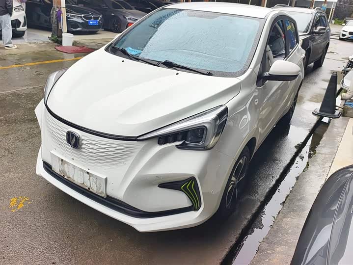 Changan BenBen E-Star 2022 2022款 清心版 多彩款 磷酸铁锂