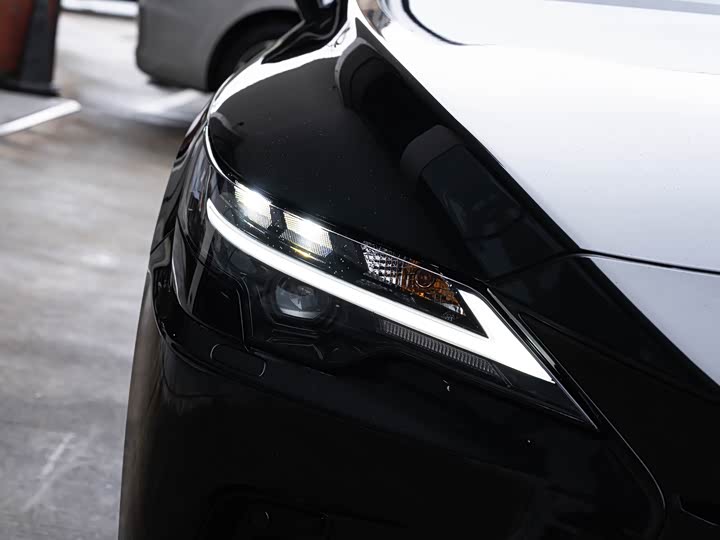 Lexus RX 2025 2025款 350h 两驱舒享版
