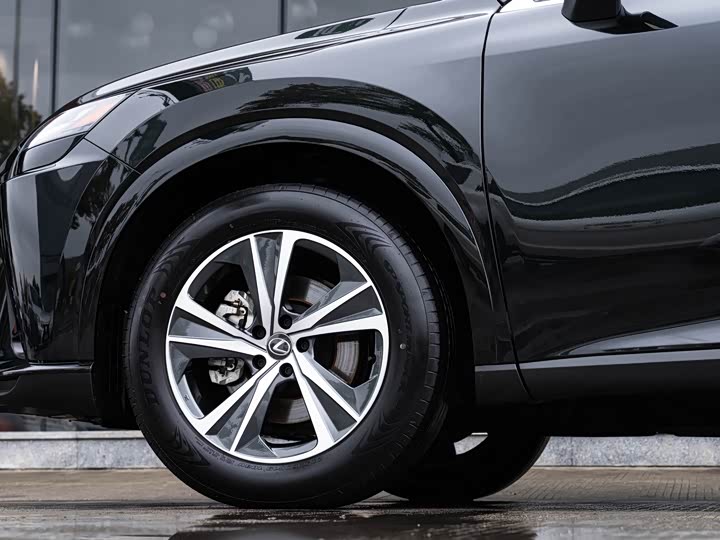 Lexus RX 2025 2025款 350h 两驱舒享版
