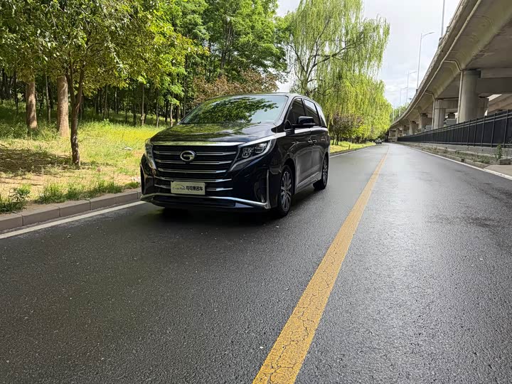 GAC Trumpchi M8 2021 2021款 领秀系列 390T 尊贵版