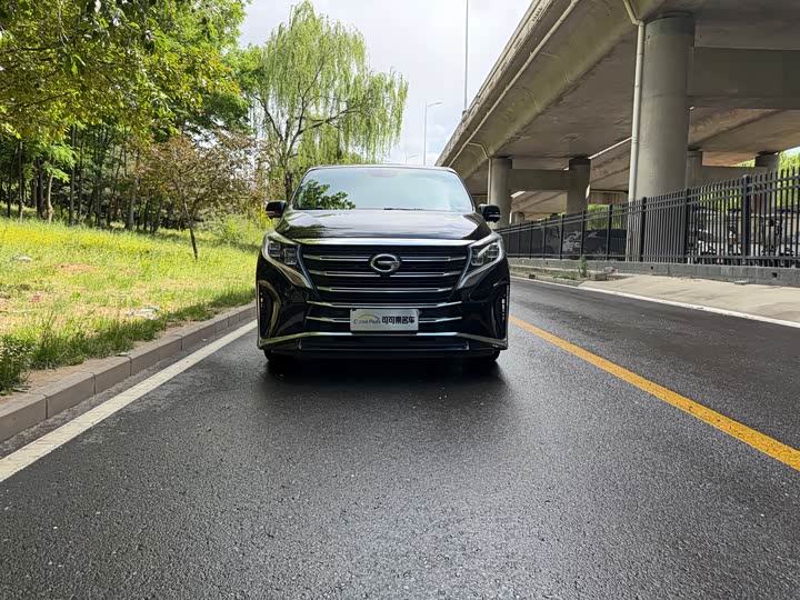 GAC Trumpchi M8 2021 2021款 领秀系列 390T 尊贵版