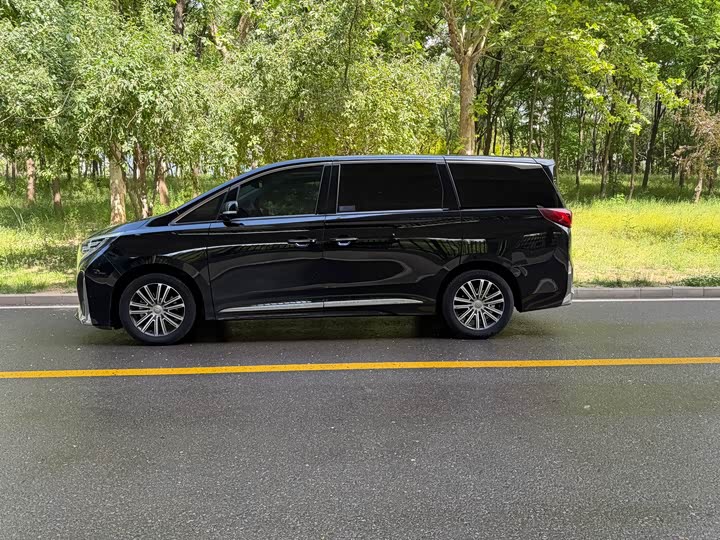 GAC Trumpchi M8 2021 2021款 领秀系列 390T 尊贵版