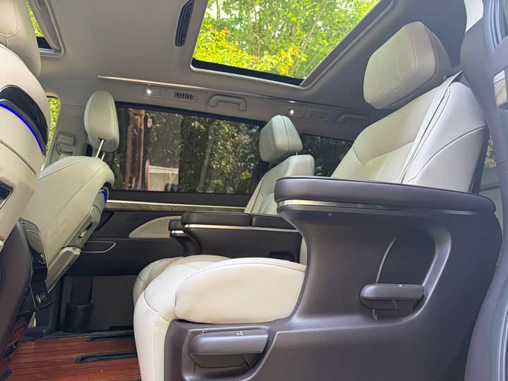 GAC Trumpchi M8 2021 2021款 领秀系列 390T 尊贵版