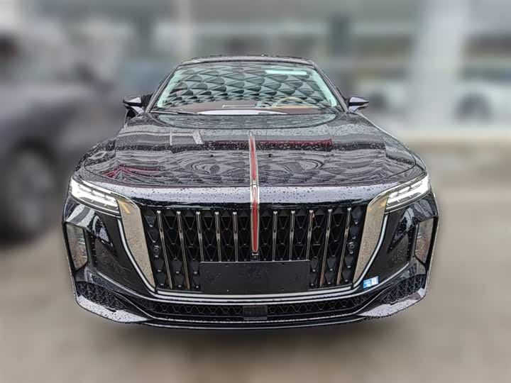 Фото 5 - Hongqi H9