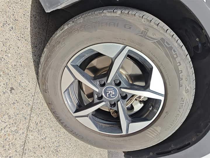 BYD Yuan Up 2024 2024款 401KM 领先型