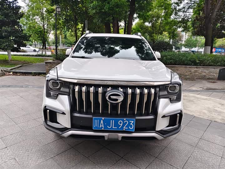 GAC Trumpchi GS8 2020 2020款 390T 两驱豪华版（五座）