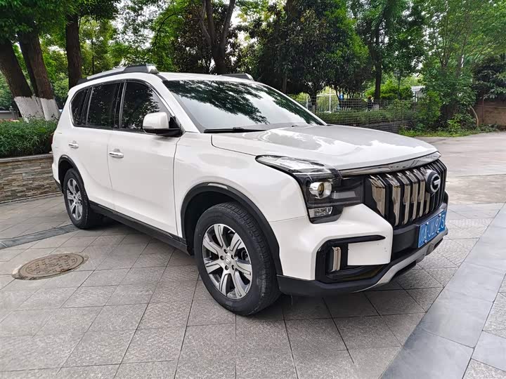 GAC Trumpchi GS8 2020 2020款 390T 两驱豪华版（五座）