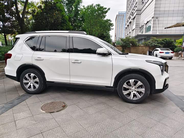 GAC Trumpchi GS8 2020 2020款 390T 两驱豪华版（五座）