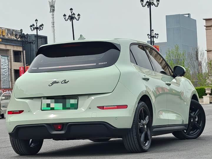 Ora Good Cat (03) 2024 2024款 401km 尊荣型 126kW