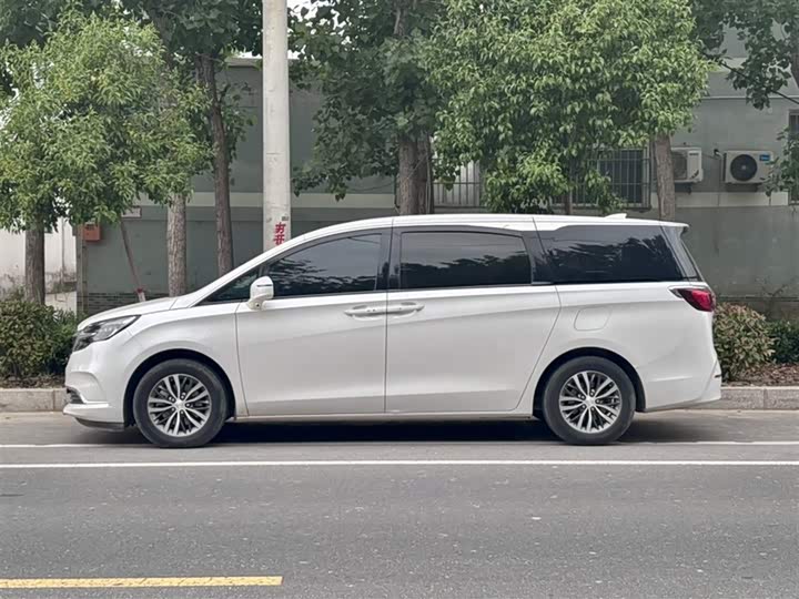 Фото 3 - Buick GL8 ES
