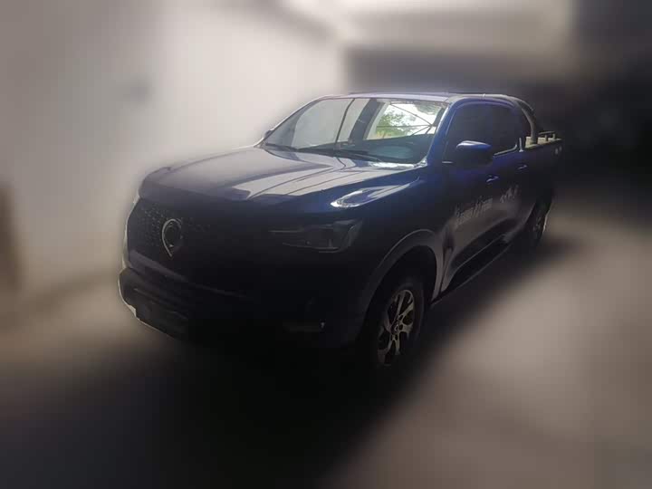 Great Wall Pao 2021 2021款 2.0T商用版自动柴油四驱精英型长箱GW4D20M