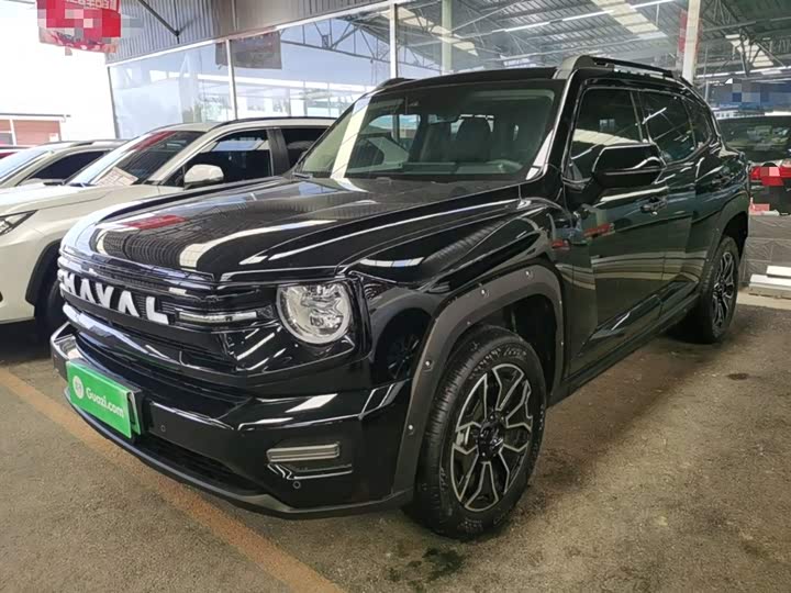 Haval H-Dog Hybrid 2026 2026款 Hi4 150km 潮电版