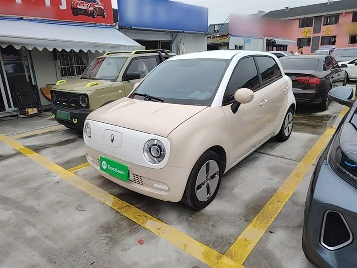 Ora Black Cat 2022 2022款 301km 萌动型 磷酸铁锂